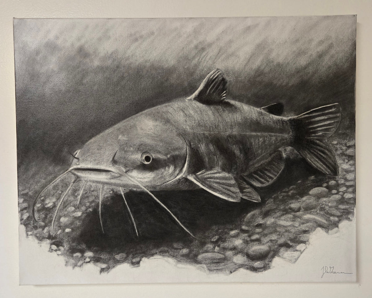 "Catfish" Original