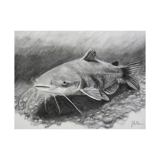 "Catfish" Paper Print